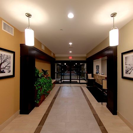 Staybridge Suites Ann Arbor - Research Parkway By Ihg Екстер'єр фото